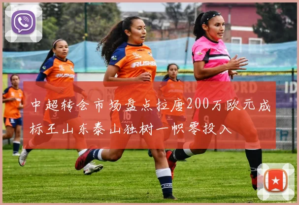 中超转会市场盘点拉唐200万欧元成标王山东泰山独树一帜零投入