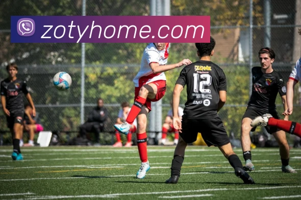 App Interface Preview