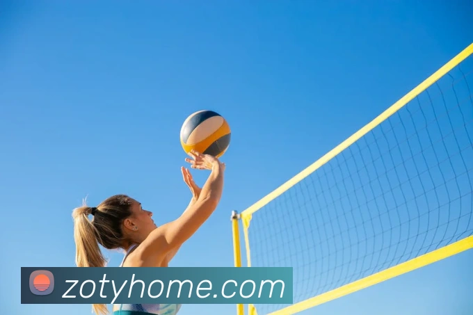 中欧体育APP 封面图