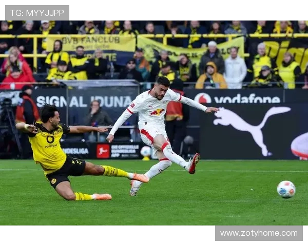 德甲莱比锡球队简介及精彩图片展示